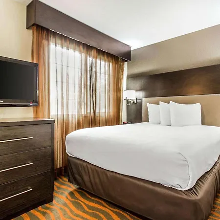 Mainstay Suites Greenville Airport-2